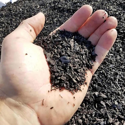 Char Bliss (8 Qts) - Organic Biochar for Plants - OMRI-Listed Biochar Soil Amendment Organic - Bio Char for Plants - Horticultural Charcoal for Plants, Potting Soil, Garden Soil, & Potting Mixes