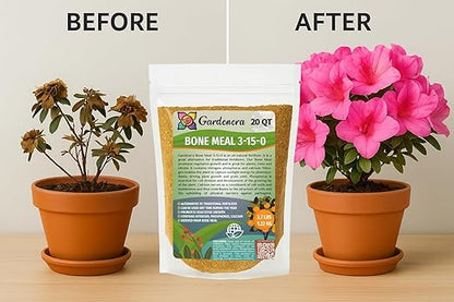 𝐁𝐄𝐒𝐓𝐒𝐄𝐋𝐋𝐄𝐑 Organic Bone Meal Fertilizer by Gardenera (4-12-0 NPK) All-Natural Plant Food Source of Nitrogen and Phosphorus for Bulbs, Gardens, Potted Plants, Trees, and Shrubs - 5 QUARTS