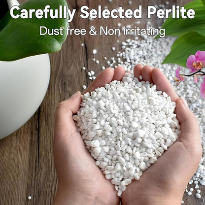 ZeeDix Premium Perlite for Plants, Horticulture Soil Amendment, 3-9mm Granule Size Potted Plant Soil for Orchid Cactus Succulents Carnivorous Monstera Repotting, Indoor Outdoor Gardening, 1QT