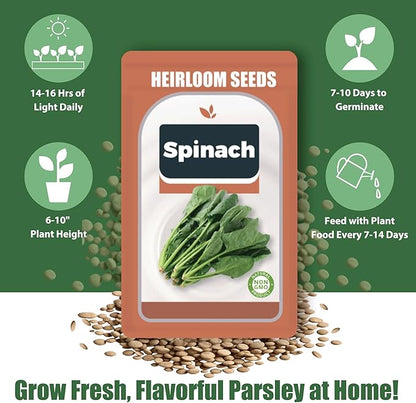 Spinach Seed Pods Kit for Hydroponic, 12 Pods Grow Anything Hydroponics Kit for Indoor Garden, Hydroponics Supplies with 12 Grow Sponges, 12 Plant Baskets, Spinach Seeds - 12 POD