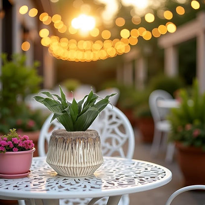 Admired by Nature 4" Ceramic Flower Planter Pot - for Home Decor, Indoor Plants, Garden Display - White