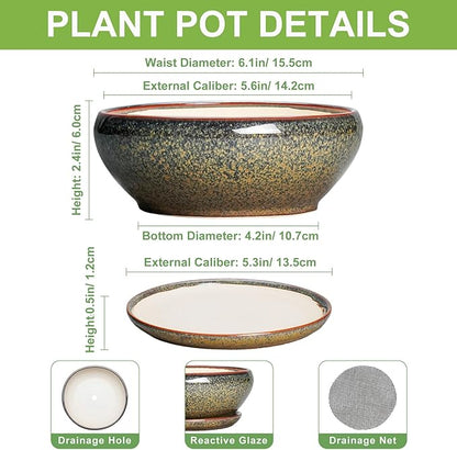 SQOWL Bonsai Pots Small - 6 Inch Ceramic Succulent Pots with Drainage Hole and Saucer, Shallow Round Planter for Indoor Plants Outdoor, Ceramic Cactus Planter, Patio Decor, Housewarming Gift, Brown