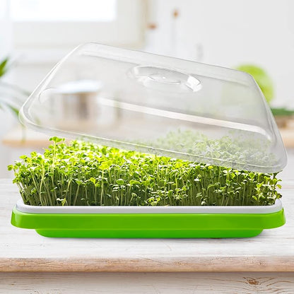 Seed Sprouter Tray with Drain Holes,Seed Germination Tray Kit BPA Free Nursery Tray,Soil-Free Big Capacity Healthy Wheatgrass Grower Sprouting Container (5 Pack with lid-Light Green)