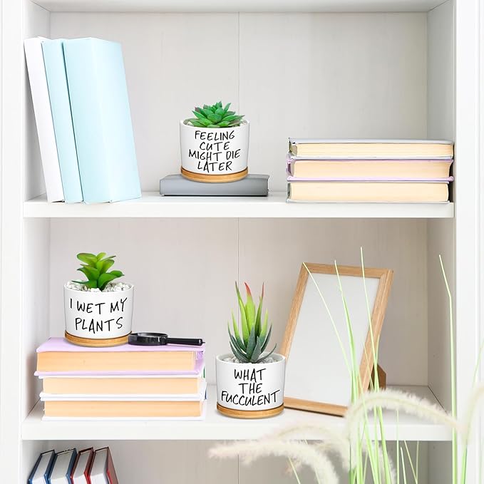 Domensi 9 Pcs Funny Succulent Pots Cute Aloe Cactus Planter with Bamboo Tray Ceramic Accessories White Mini Flower Drainage Tray Pots Indoor Outdoor Plants Birthday Gifts Housewarming Women Coworker