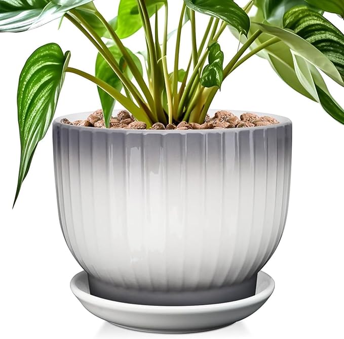 8 Inch Plant Pot, Ceramic Planter with Drainage and Saucer, Ceramic Pots for Plants, Indoor Plant pots,Ceramic Flower pots(Gray + White, Plants NOT Included)
