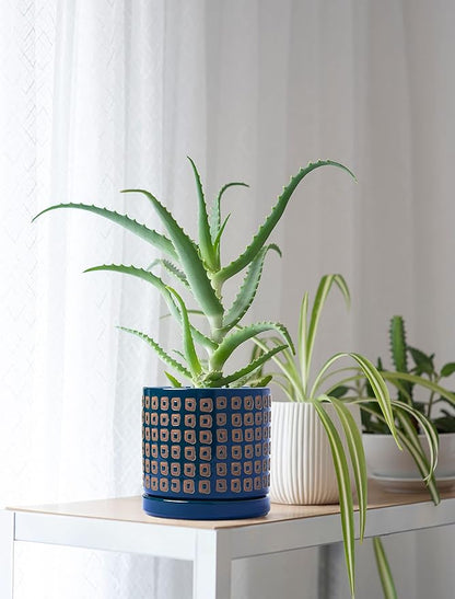 D'vine Dev Set of 2 Ceramic Planter Pots with Drainage Hole and Saucer, 4.5 Inch 6 Inch Plant Pots for Indoor Houseplants, Blue, 99-A-6