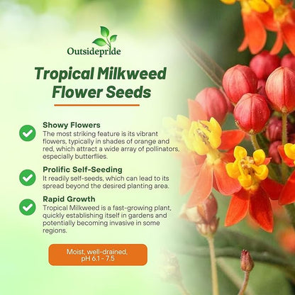 Outsidepride Tropical Milkweed Seeds - 2000 Pcs Perennial, Heat & Humid Tolerant, Pollinator-Friendly Wildflower Seeds, Ideal for Monarch Butterflies, Cut Flowers, Borders, or Meadows