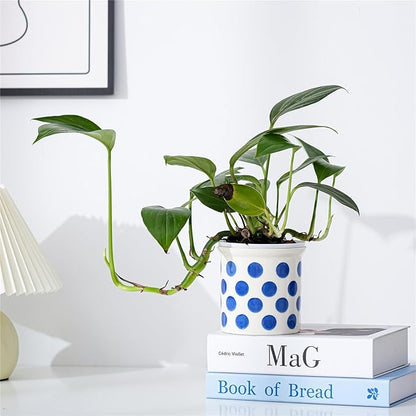 Pots of Indoor Plants 4 Inch Succulents Flower Pots Set of 2 Ceramic Planters Painted Blue Lines and Polka Dots Flower Pots with Drainage Hole for Cactus and Small Houseplants Gifts
