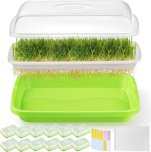 12 Pack Green Seed Sprouter Trays with Lid, Soil-Free Cultivation Germination Tray, Fodder Sprouting Trays Nursery Tray with Planting Paper for Indoors Outdoors