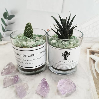 ZHIYUXI Green Aventurine Crystal Chips Fish Tank Gravel Vase Filler Stones Crushed Crystals Gemstone Polished Healing Crystals Natural Quartz Stone 0.44lbs