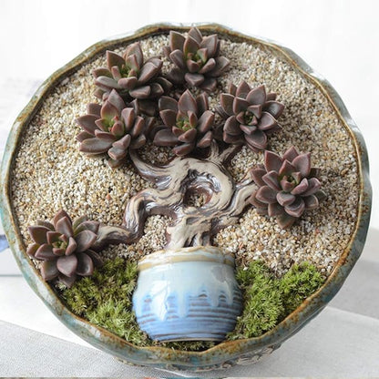 TOYPOPOR 6lb Succulent and Cactus Bonsai Gritty Mix Rocks, Natural Coarse Sand Stone, Potted Plant Decorative Gravel, DIY Projects Pebbles for Vases Fillers, Terrarium, Fairy Gardening, Top Dressing