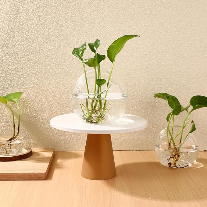 Angoily Glass Succulent Planter 3 Pack Hydroponic Flower Utensils for Indoor Outdoor Use Transparent Glass Terrarium Bowls for Small Plants Air Plant Holder for Home Garden Decor