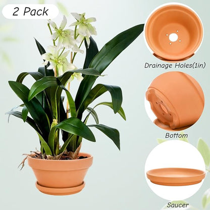 2 Pack 8 Inch Shallow Succulent Terracotta Pots with Drainage Hole and Saucer, Clay Plant Pots for Indoor and Outdoor Planter, Bowl Planter for Orchid, Cactus, Flowers