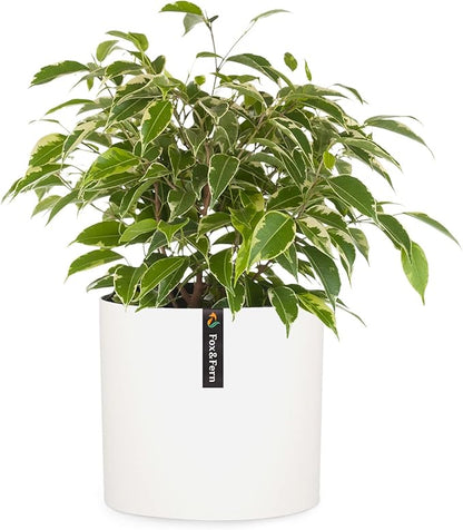 Fox & Fern 10 Inch Plant Pot with Drainage Plug — Premium Polystone Matte White Planter - Indoor & Outdoor Planter - 10 Inch Pots for Plants - Weather Resistant & UV Resistant