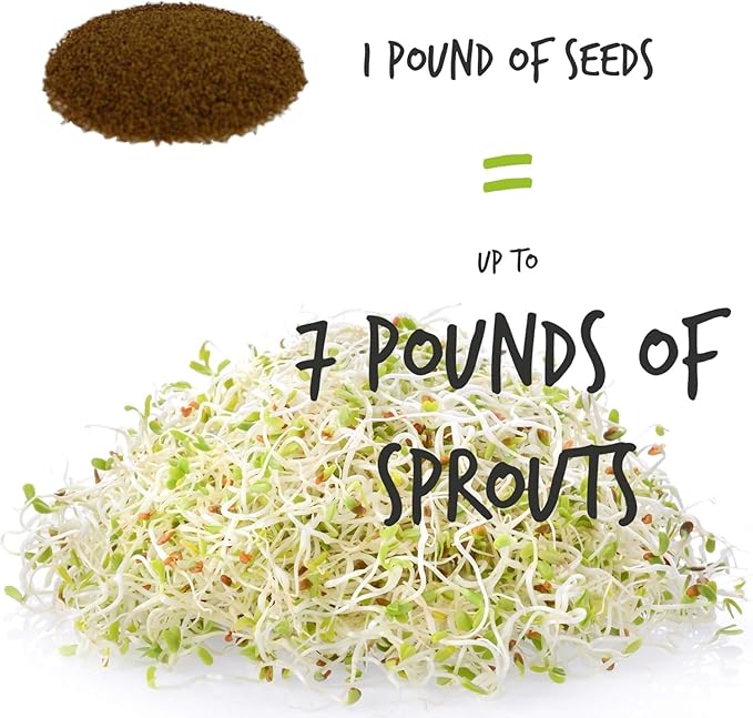 Handy Pantry Organic Sprouting Seed Assortments - Microgreens, Sprout Seeds Variety Pack (12 Pack - Premeasured)
