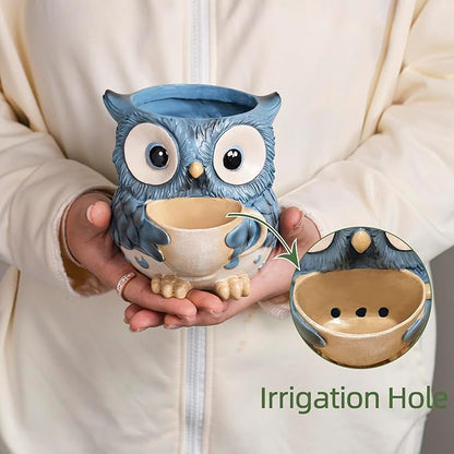 Unique Owl Plant Pots Indoor, Cute Small Succulent Pots with Drainage Hole, Watering Owl Planters for Indoor Outdoor Plants, Resin Flower Pot for String of Pearls, Gift Ideas for Mother