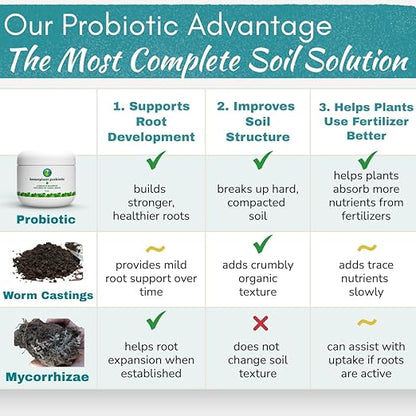 Houseplant Soil Conditioner & Probiotic – Organic Growth Booster (1-1-4) for Rejuvenating Tired Plants | Improves Soil Structure & Nutrient Availability for Stronger Roots & Fuller Leaves | 4 oz