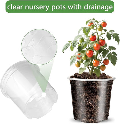 Transparent Plant Pot with Drainage Holes, Flower/Seed Starter Pots,Clear Plastic Nursery Pots for Plants with Plant Labels+Saucers+Mesh Pads+Marker (6 inch * 15)