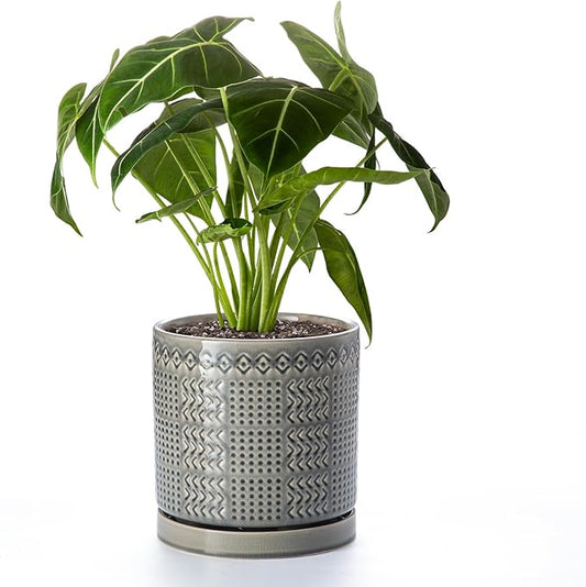 Indoor-Outdoor Ceramic Plant Pots: 8 Inch Flower Pots with Drainage Hole & Saucer - Decorative Ceramic Pots for Plants Herbs Succulents - Home Garden Patio Lawn Use