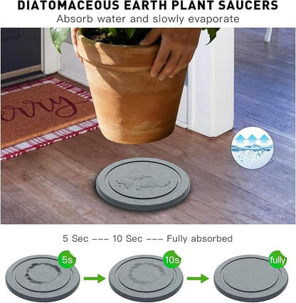 Azhou Diatomaceous Earth Plant Saucers 2-Pack with Velvet Bottom - 6 Inch Water Absorbing Heavy Duty Flower Pot Trays, Moisture Control Indoor Outdoor Catcher for Home, Office, Kitchen