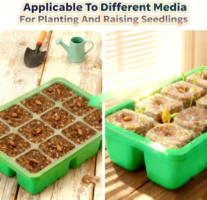 10-Pack Seed Starting Tray with Transparent Moisture-Lock Lid for Hydration and Heat Retention Seed Germination Starter Kit (120-Cell Tray Total) Easy Seedling Cultivation for Home Gardeners