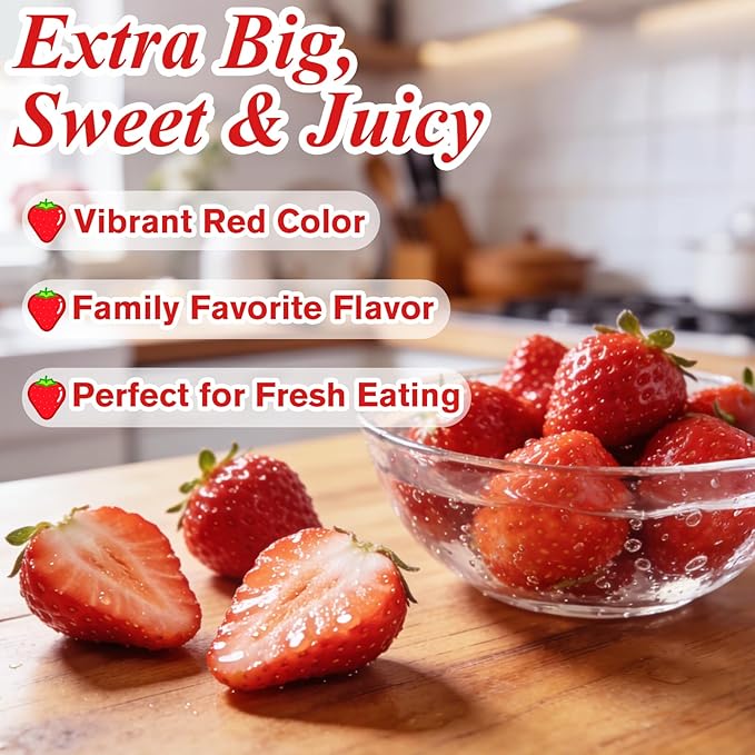 5000+ Strawberry Seeds for Planting –Heirloom Non-GMO Giant Red Strawberry Seeds, Everbearing Fruit Plants & Seeds for Garden Beds, Pots, Raised Beds, Balcony & Hydroponic Systems, 0.18 oz (5 g)