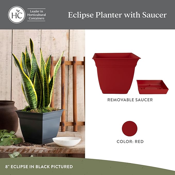 The HC Companies 6 Inch Eclipse Square Planter Pots with Drainage Holes & Attached Saucer, Lightweight UV-Resistant Plastic Indoor Outdoor Planters, 4-Pack Flower Pots for Garden & Home Decor, Red