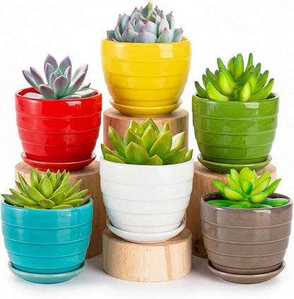 Elsjoy 6 Pack 4.3 Inch Ceramic Succulent Pots with Drainage and Attached Saucer, Small Decorative Succulent Planter Cute Ceramic Flower Pots for Home, Garden