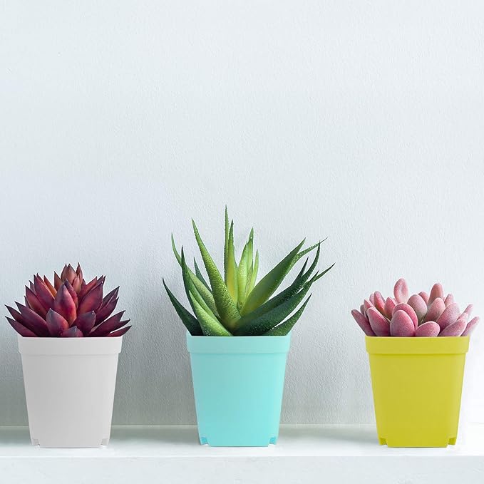 Elcoho 60 Pack 2.7 Inch Square Plants Nursery Pot Multicolor Plastic Plant Seedling Pots Flower Pots Nursery Transplanting Planter Container with Saucer for Your Room,Garden Office and Balcony Decor