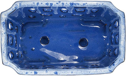 W&W Orchid Pot with Holes and Saucer for Repotting, White and Blue, 9.7 Inch
