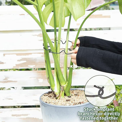 Monstera Plant Stem Support Set of 5 - Durable Stabilizers for Monstera and Climbing Plants - Ideal for Plant Lovers and Garden Care