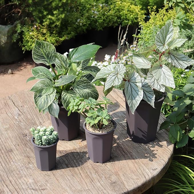 BangQiao 17 PCS 3.55" Plastic Deep Nursery and Seedling Pots, Round Transplant Seed Starter Planter,Gray Color