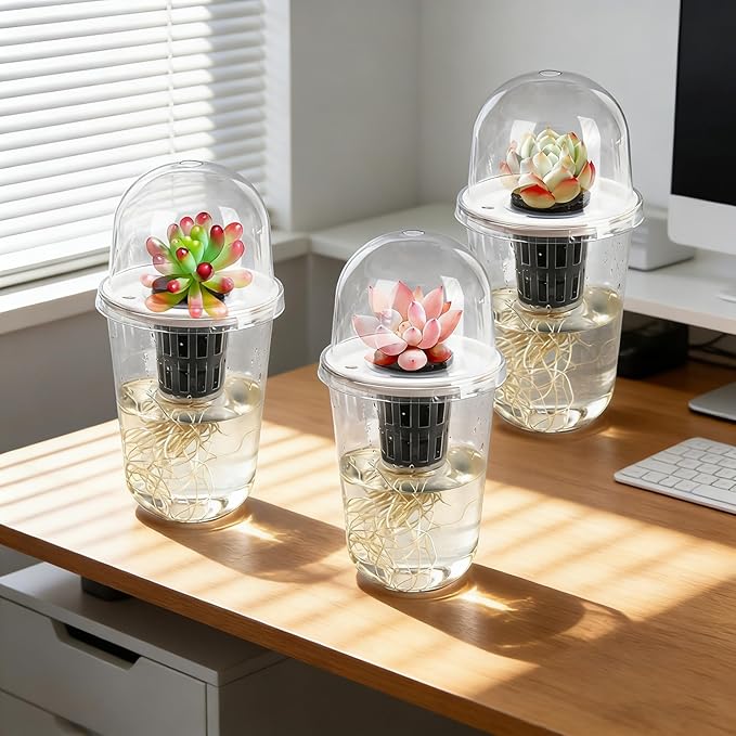 Clear Hydroponic Nursery Kit, Transparent Plant Starter Hydroponic Pots for Seed Starting, Hydroponic System for Nursery