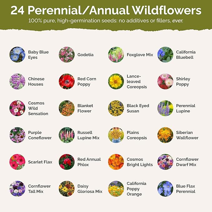 Eden Brothers Oregon Wildflower Mixed Seeds for Planting, 1 oz, 30,000+ Seeds with Bluebell, Cornflower | Attracts Pollinators, Plant in Spring or Fall, Zones