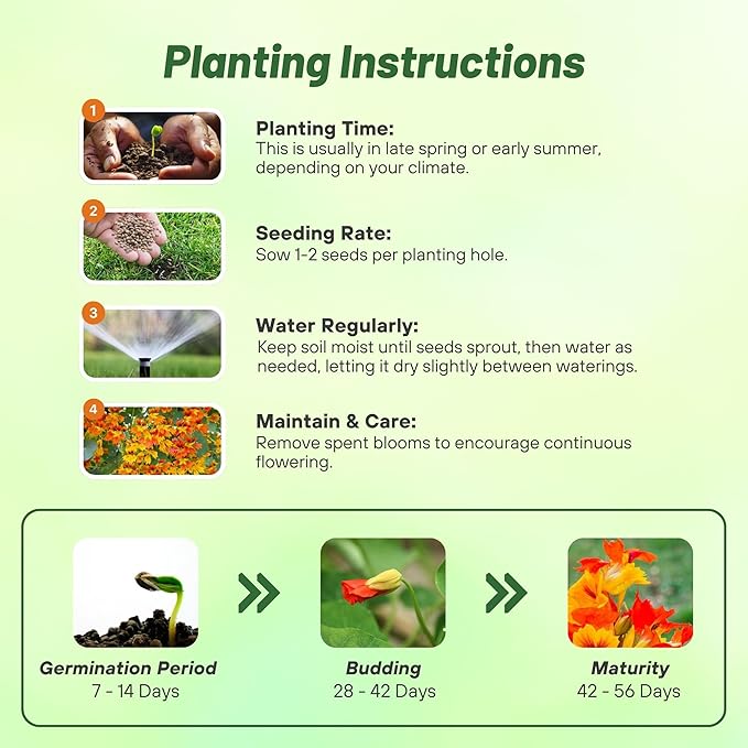 Outsidepride Phoenix Mix Nasturtium Seeds - 25 Pcs Annual, Easy to Grow & Versatile, Flower Seeds for Planting Vibrant Blooms, Ideal for Gardens, Borders, and Pollinator Gardens