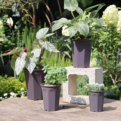 BangQiao 8 Pack 6.10 Inch Plastic Deep Nursery and Seedling Pots, Round Transplant Seed Starter Planter, Gray Color