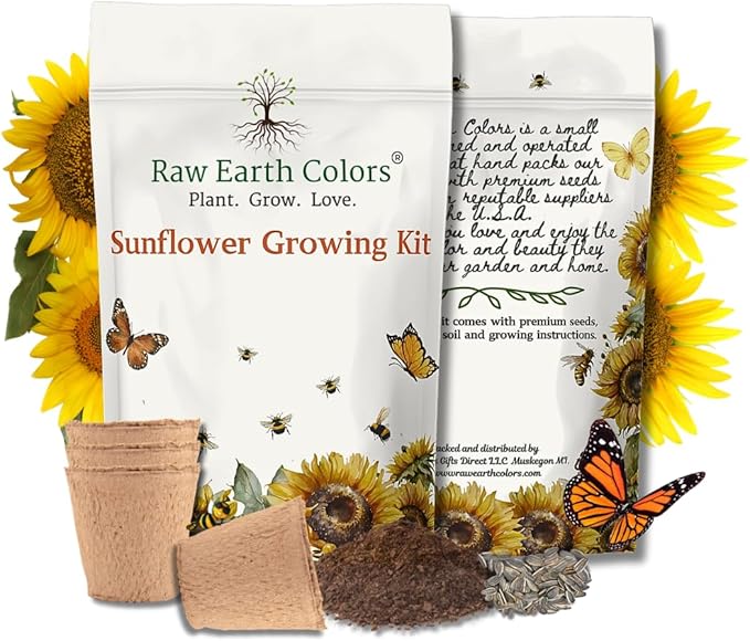 Dwarf Sunflower Seeds for Planting Grow Kit - Seeds - Peat Pots - Soil Pods!