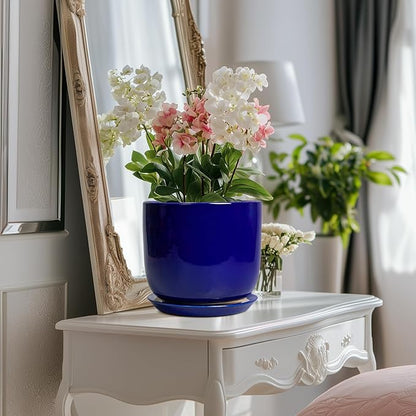 8 Inch Ceramic Plant Pot - Decorative Round Planter for Indoor Plants with Drainage Hole and Saucer, Home House Room Office Garden Decor, Blue