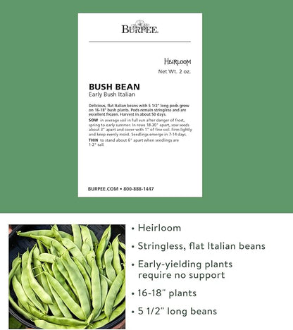 Burpee Early Italian Bush Bean Seeds 2 ounces of seed