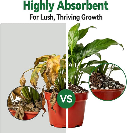 Zeedix Potting Soil Mix for Indoor Houseplant, Include Perlite, Compost, Peat Moss, Coco Coir and Vermiculite, Well Draining Potting Mix, Promote Healthy Root Development and Faster Plant Growth, 6qt
