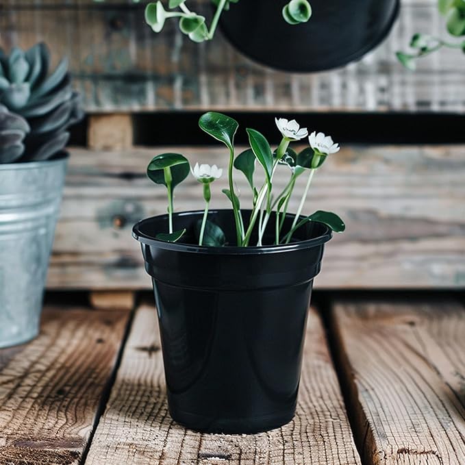 25 Packs 4 5 6 Inch Nursery Pots Round Flower Pots Decorative Plastic Pots for Plants with Drainage Hole Seed Starting Pots for Seeding, Succulent(4 Inch, Black)