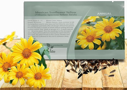 Outsidepride Yellow Torch Mexican Sunflower Seeds - 500 Pcs Annual, Easy-to-Grow, Yellow Tithonia Speciosa Flower Seeds w/Drought-Tolerant Blooms for Pollinator Gardens & Vibrant Summer Landscaping