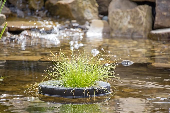 PondH2o Floating Aquatic Water Garden Pond Planter Basket, 10 Inch (26cm) Round Fabric Floatable Flower Plant Pot Aquaponics, Hydroponics, Flower Islands for Ponds and Water Features