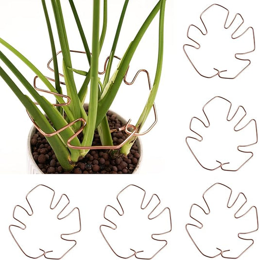 6PCS Plant Stem Support, Copper Monstera Plant Support, Unique Designed Stable Plant Support Stakes for Plants Stabilizer, Turtle Shell Bamboo Clamp Set for Outdoor & Indoor Plants Thriving Growth