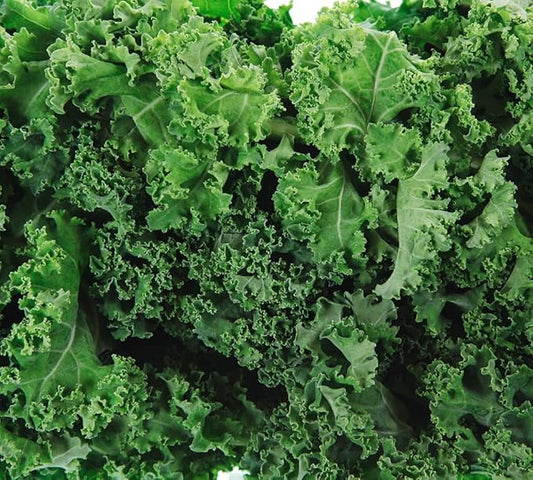 Dwarf Siberian Kale Seeds for Planting – Plant & Grow Heirloom Non-GMO Dwarf Siberian Kale in Home Outdoor Vegetable Garden, Brassica Napus – 2 Packets