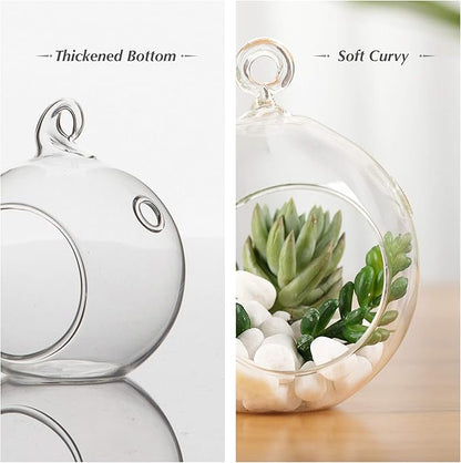 WGV Hanging Terrarium Globe, Width 8", Height 9", DIY Air Succulent Planter, Clear Glass Vase Orb with Flat Bottom, Candle Holder for Windowsill Outdoor Garden Decor, 6 Pieces Bulk