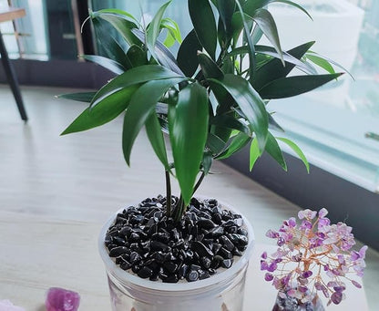 ZHIYUXI Obsidian Crystal Vase Filler Crystal Chips Stone for Decoration Succulent Plants Vase Fish Tank Gravel Crushed Crystals Chips Gemstone Polished Healing Crystals Quartz Home Decor Gem Stones