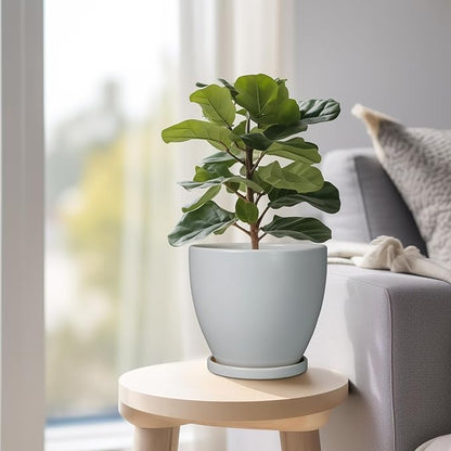 6.8 Inch Planter - Ceraimc Pots for Indoor Outdoor Plants Round Planters Modern Flower Pot with Drainage and Tray Home Garden Decor Gray