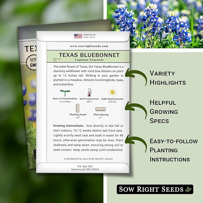 Sow Right Seeds - Texas Bluebonnet Seeds to Plant - Non-GMO Heirloom Seeds -Full Instructions for Planting - Beautiful Perennial Blue Blooms -Sweet Addition to Your Yard (1)