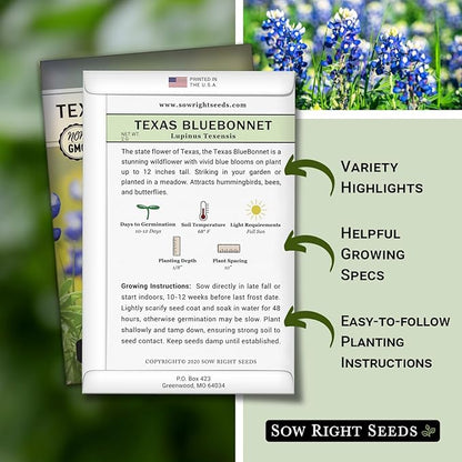 Sow Right Seeds - Texas Bluebonnet Seeds to Plant - Non-GMO Heirloom Seeds -Full Instructions for Planting - Beautiful Perennial Blue Blooms -Sweet Addition to Your Yard (1)
